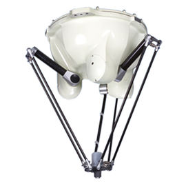 Parallel het Wapenplafond dat van de Koppelingstype Chinees Robot voor Kawasaki-Robot opzet