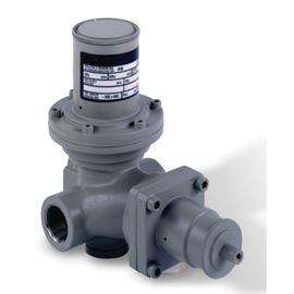 PN 16 Lichaam Gas Materialen Certificatie van Drukregelaarrb1700-3/4 de“ Ce