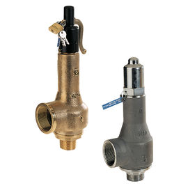 Ingepaste/Van een flens voorzien VeiligheidsAfblaasklep 716 Model met 3800MD-Instelmechanisme