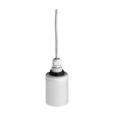 e+h instrumenten Ultrasone sensor voor niveau en stroommeting als ultrasone sensor van FDU91