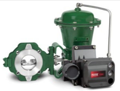 Klep van de vissers de gemakkelijke e EZ Controle in chemisch product of koolwaterstofverwerkingstoepassingen en materiaal in Koolstofstaal, Stainles