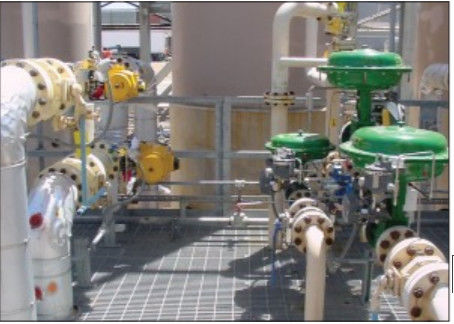 Klep van de vissers de gemakkelijke e EZ Controle in chemisch product of koolwaterstofverwerkingstoepassingen en materiaal in Koolstofstaal, Stainles