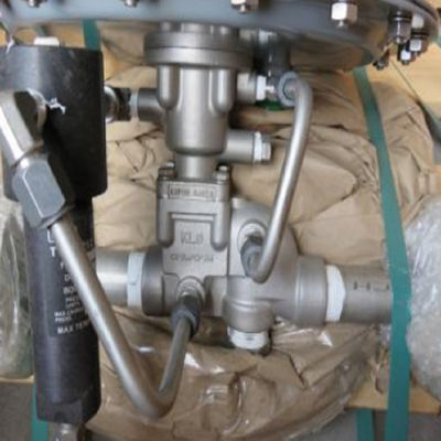 Van de de Dampspaarder van Fisher Type ACE95 de Tank Bedekkende Klep met laag-vastgestelde het punttechnologie van de vissersregelgever