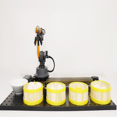 WLkata 6 Kunstmatige intelligentie van de As de Mini industriële Robot voor onderwijs
