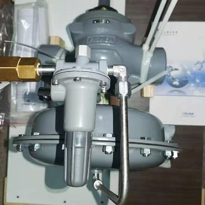 De het gasdrukregelaars van vissers 1098-EGR 1098h-EGR controleren digitale drukregelaar en druk die klep verminderen