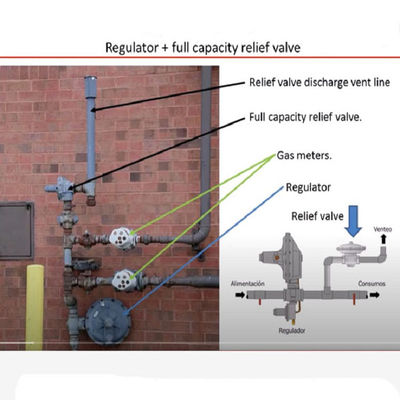 De Afblaasklep van EZR of de Achter van de de Steunbalkvisser van het Drukregelaargas Modulaire van het het LNGsteunbalk Opgezette Gas van de het Apparatenoplossing Reeks van het de Machtshulpmiddel