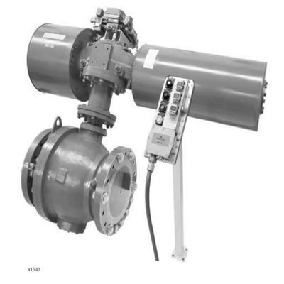 DVC6200 SIS Digital Positioner Control Valve-Instelmechanisme
