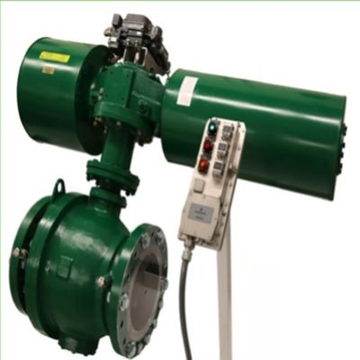 DVC6200 SIS Digital Positioner Control Valve-Instelmechanisme