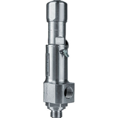 Compact Prestatiestype 437 de Klep van de Drukveiligheid