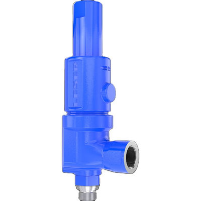 Compact Prestatiestype met veerwerking 459 de Klep van de Drukveiligheid