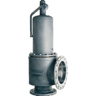 Type 441XXL met Hoge Nominale de Veiligheidsklep Met veerwerking van Diameter Hoge Prestaties