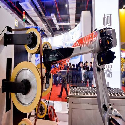 6 Wapen nj-16-3,1 van de as Industrieel Robot Middelgrote Nuttige ladings Industriële AGV Robot