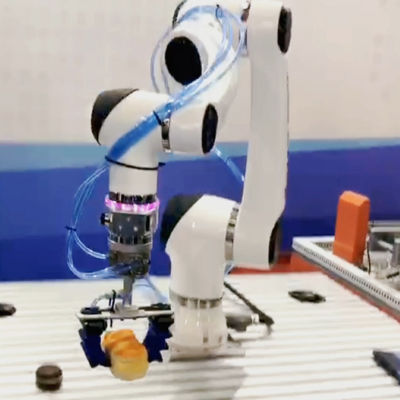 Oogst en Plaats het Elfachtige Bereik e10-l 1300mm van het Robotwapen voor Assemblagerobot