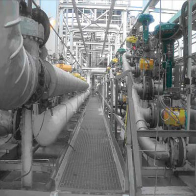 Klep van de vissersez de Pneumatische Controle met Digitaal de Klepcontrolemechanisme van DVC6200 DVC2000