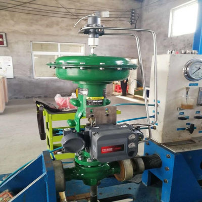 Klep van de vissersez de Pneumatische Controle met Digitaal de Klepcontrolemechanisme van DVC6200 DVC2000