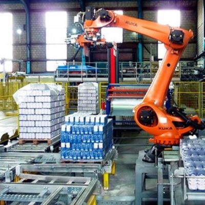 CNC de PA van Machinekr 120 R3200 van het Palletiseren van Robot met 3195MM Bereik voor Materiaal Behandelingsmateriaal