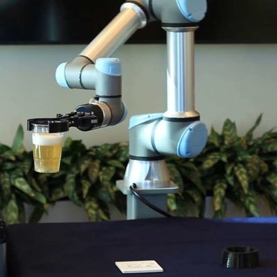 Automatisch Robotachtig Wapen 6 As UR5e Lading en het Leegmaken Oogst en Plaatsrobot
