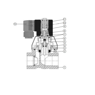 Type 6221 Zuigerklep 2/2 Manier als Solenoïdeklep wordt servo-bijgewoond voor hoog Gepulseerde en Samengeperste Lucht die