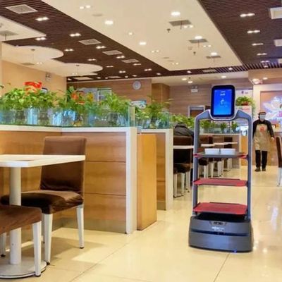 De dienstrobot China met Automatische Navigatie voor AI van de Voedsellevering Robot