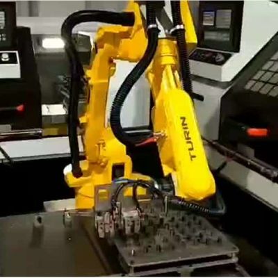 Industriële Robot 6 As China TKB800-6kg-876mm voor het Laden van Universele Robot