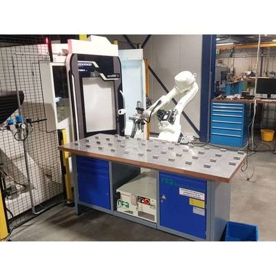 6 Axis Robot Arm Palletizer RS020N voor pallettering Handling Automation als pallettering robot