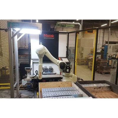 6 Axis Robot Arm Palletizer RS020N voor pallettering Handling Automation als pallettering robot