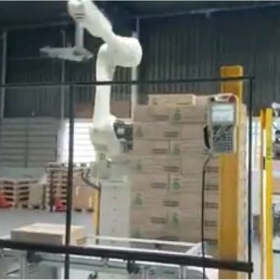 Industriële robotarm 6 as Kawasaki RS050N met CNGBS-geleidingsrail voor robot voor pallethantering