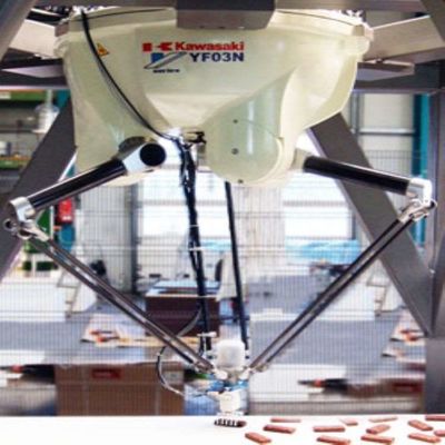 De robotachtige Nuttige lading 3kg van de Wapenassemblage YF003N voor Assemblagerobot 4 As Deltarobot