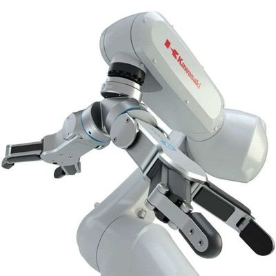 Samenwerkings Robotachtig Wapen met Flexibele Tang 2 Vinger RG6 als Robottang