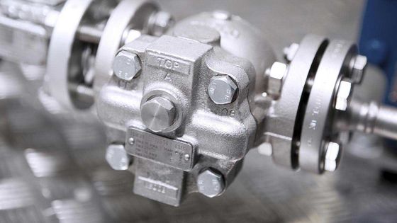 Geschroefte de Stoomval FTGS14 Spirax Sarco van de Balvlotter