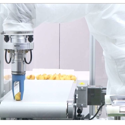 Kleine industriële robotarm 6 as VS-050/060 met CNGBS-robotarm als universele robot