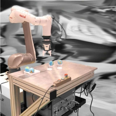 Cobot Roboter Arm 6 Axis CZ10-01 met CNGBS Robot Gripper voor het plukken als samenwerkende robot