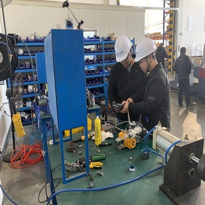 EMERSON het Apparateninformatieverspreider van AMS Trex voor de Instelmechanismen van de Vissersdvc6200 DVC2000 Klep