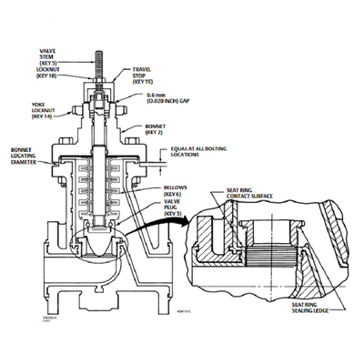 Het Pneumatische Instelmechanisme van de de Digitale Controleklep van RSS met 67CFR-Filterregelgever