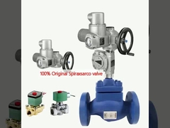 100% originele Spiraxsarco-klep