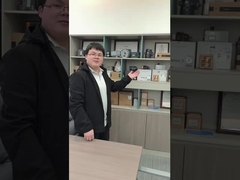 Het pneumatische Slimme Instelmechanisme van de Controleklep