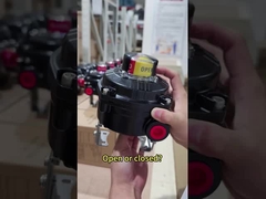 Laat de Power Genex-grensschakelaars het u vertellen.