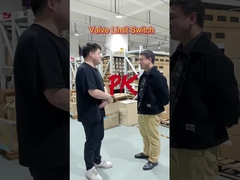 Welke grensschakelaar heb je liever?